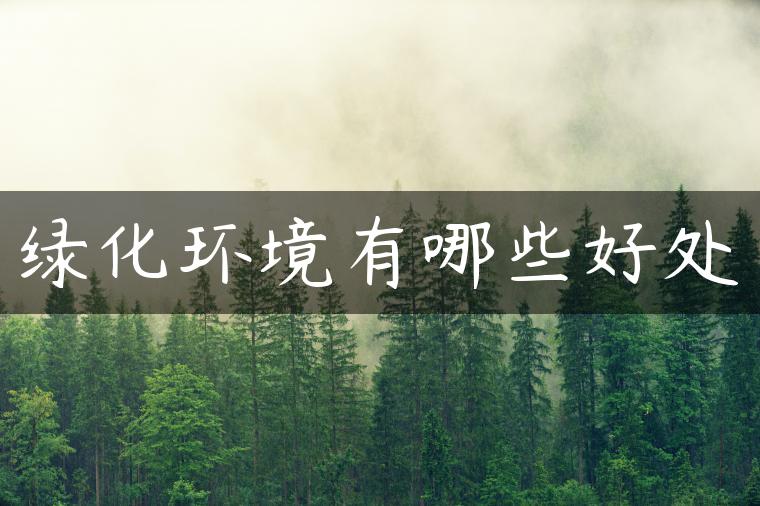 绿化环境有哪些好处