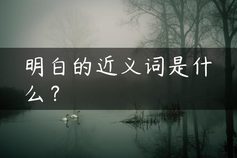明白的近义词是什么？