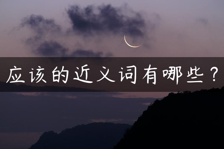应该的近义词有哪些？