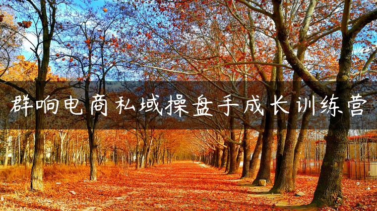 群响电商私域操盘手成长训练营