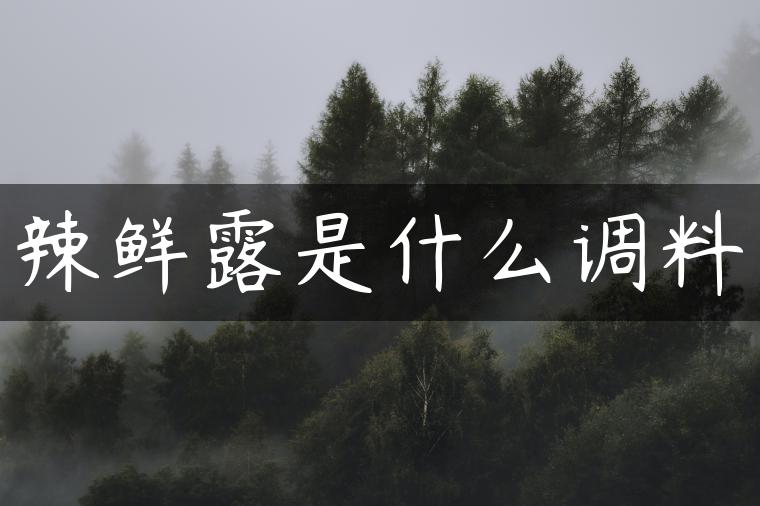 辣鲜露是什么调料