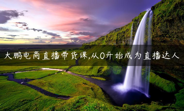 大鹏电商直播带货课,从0开始成为直播达人