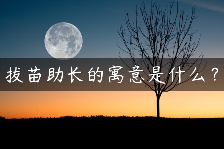 拔苗助长的寓意是什么？