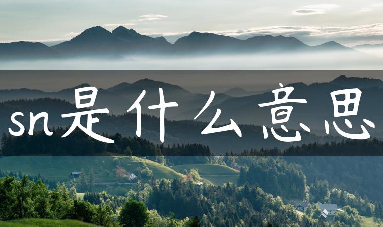 sn是什么意思