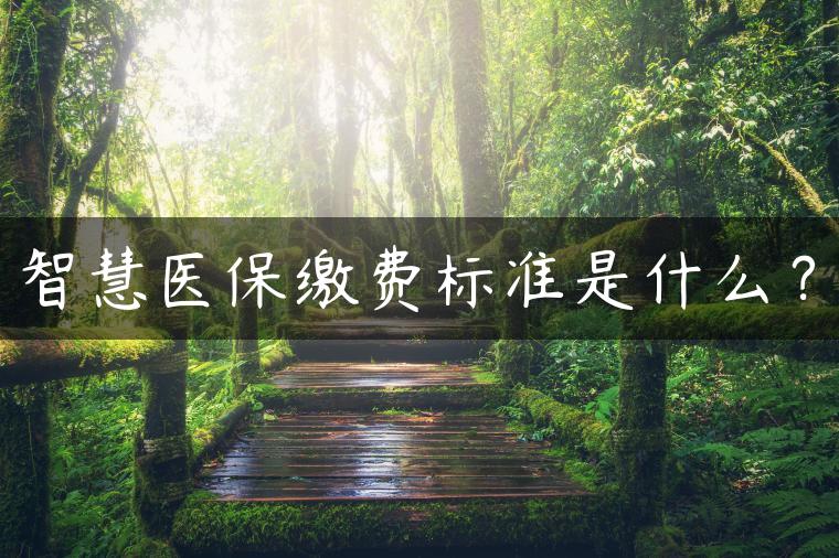 智慧医保缴费标准是什么？