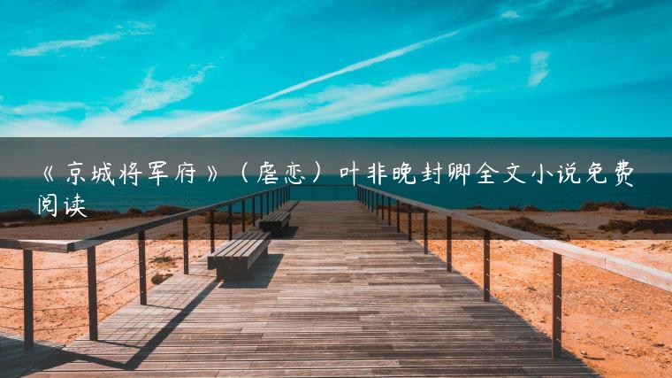 《京城将军府》(虐恋)叶非晚封卿全文小说免费阅读 《京城将军府》(虐恋)叶非晚封卿全文小说免费阅读