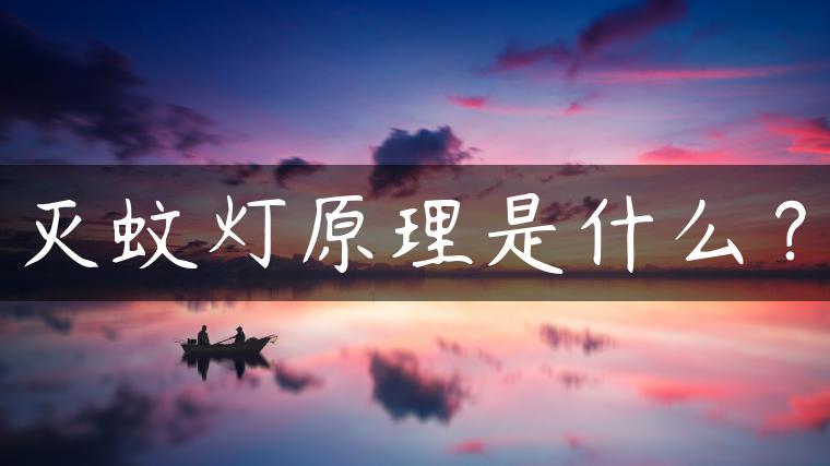 灭蚊灯原理是什么？