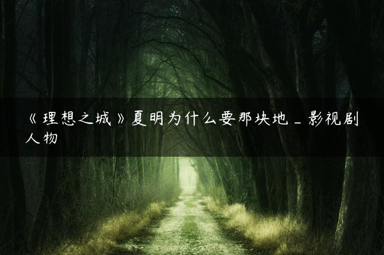 《理想之城》夏明为什么要那块地_影视剧人物
