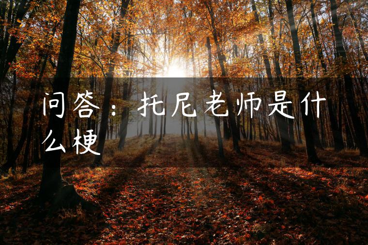 问答：托尼老师是什么梗