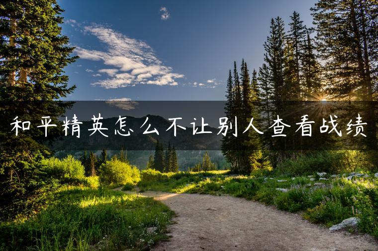 和平精英怎么不让别人查看战绩