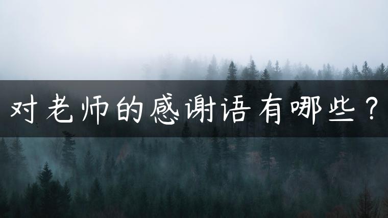 对老师的感谢语有哪些？