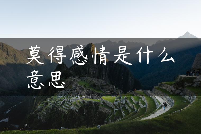 莫得感情是什么意思