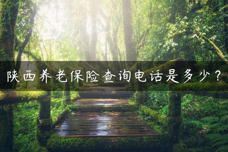陕西养老保险查询电话是多少？
