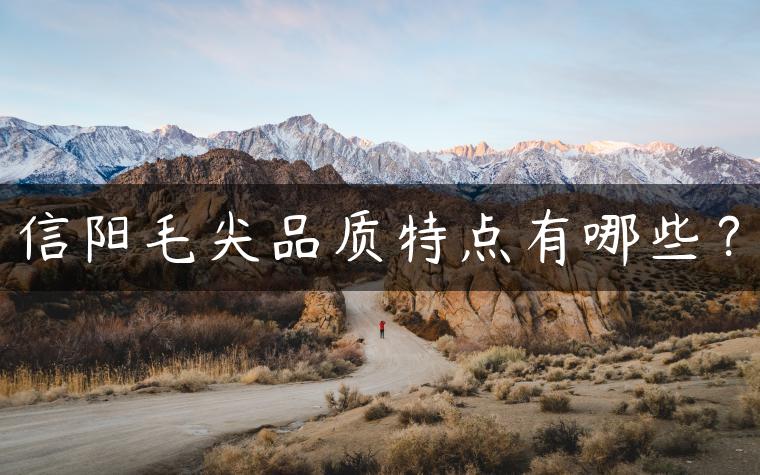 信阳毛尖品质特点有哪些？