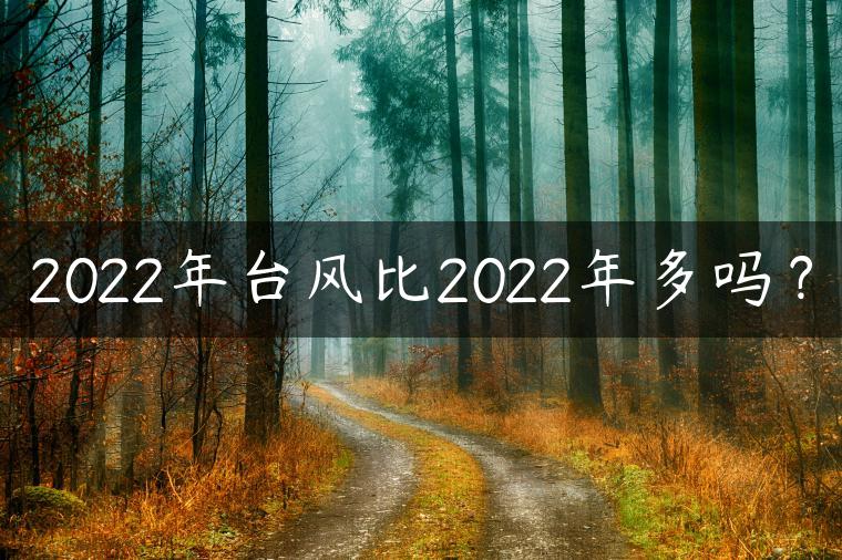 2022年台风比2022年多吗？