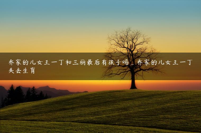 乔家的儿女王一丁和三丽最后有孩子吗_乔家的儿女王一丁失去生育