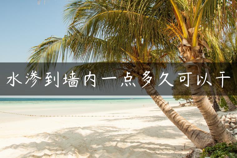 水渗到墙内一点多久可以干