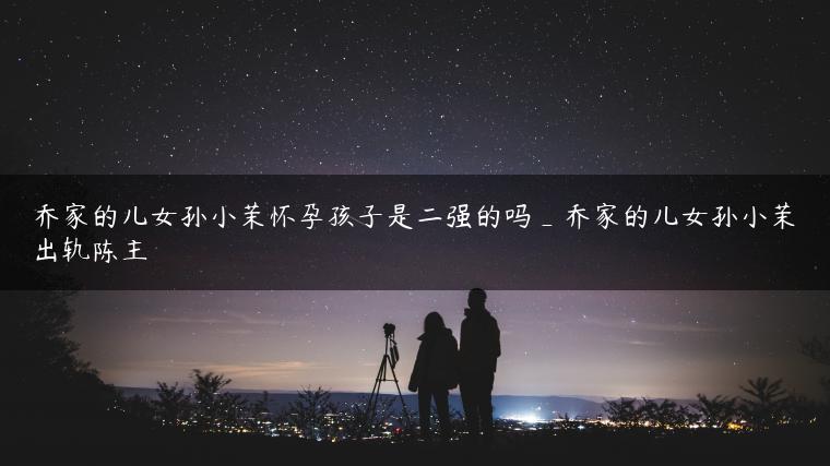 乔家的儿女孙小茉怀孕孩子是二强的吗_乔家的儿女孙小茉出轨陈主