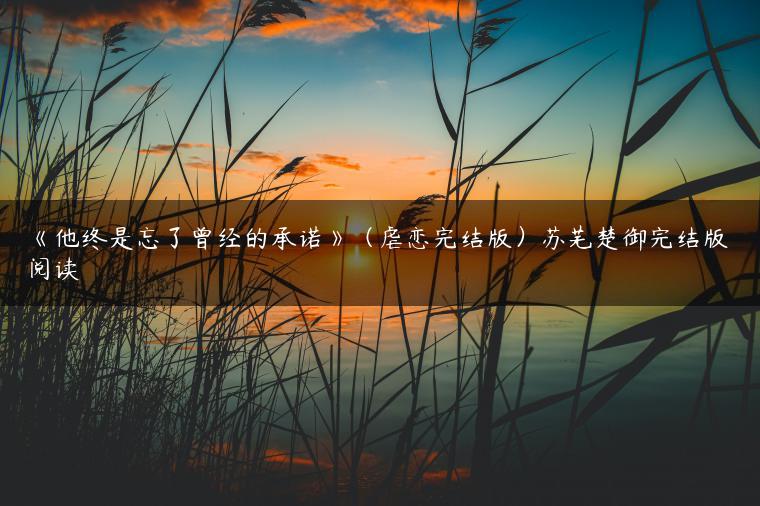 《他终是忘了曾经的承诺》(虐恋完结版)苏芜楚御完结版阅读 《他终是忘了曾经的承诺》(虐恋完结版)苏芜楚御完结版阅读